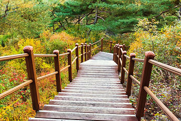 Image showing Wooden hiking path to the mountain