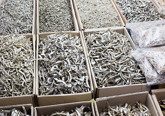 Image showing Dried assorted anchovy fish