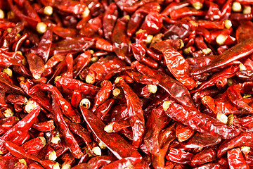 Image showing Red Chili peppers