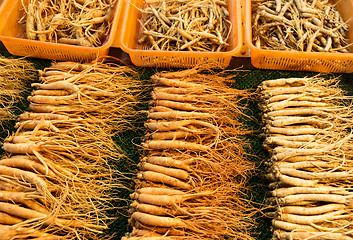 Image showing Fresh ginseng in Korean market