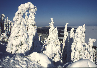 Image showing Winter landscape