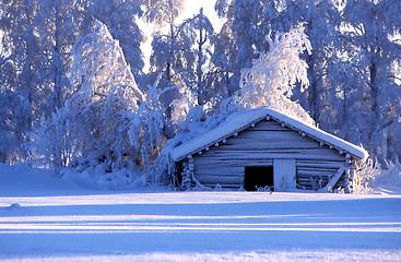 Image showing Winter landscape