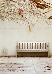 Image showing Relaxation with bench in garden