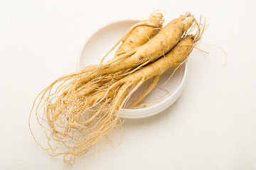 Image showing Korean fresh Ginseng