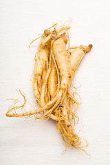 Image showing Fresh Ginseng