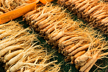 Image showing Fresh ginseng in Korean food market