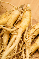 Image showing Fresh Ginseng close up