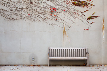 Image showing Relaxation with bench in garden