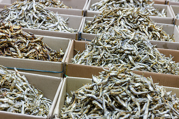 Image showing Dried anchovy fish for sell in market