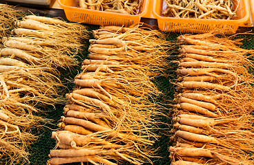 Image showing Fresh ginseng stick for sell