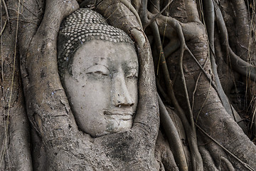 Image showing Buddha head in banyan tree at Ayutthaya