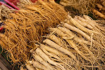 Image showing Fresh ginseng in food market