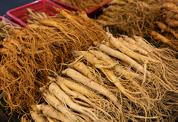 Image showing Fresh ginseng for sell