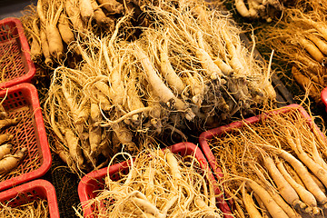 Image showing Fresh ginseng for sell in Korean food market