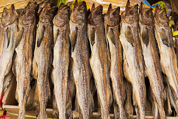 Image showing Dry salty fish