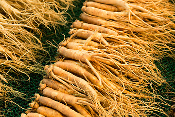 Image showing Fresh ginseng in Korean market