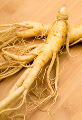 Image showing Fresh Ginseng on the wooden background