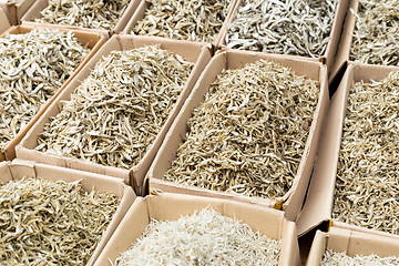 Image showing Dried assorted anchovy fish in market