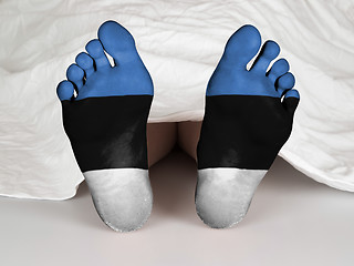 Image showing Feet with flag