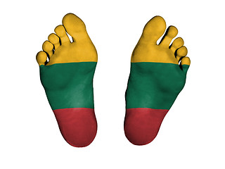 Image showing Feet with flag