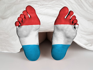 Image showing Feet with flag