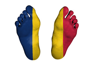 Image showing Feet with flag