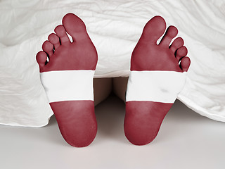 Image showing Feet with flag