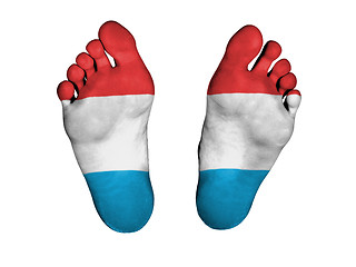 Image showing Feet with flag