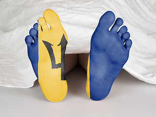 Image showing Feet with flag