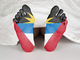 Image showing Feet with flag