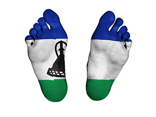 Image showing Feet with flag