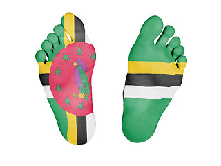 Image showing Feet with flag