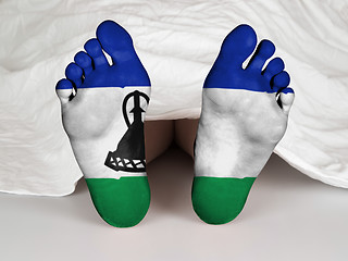 Image showing Feet with flag