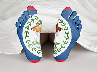 Image showing Feet with flag