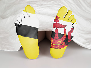 Image showing Feet with flag