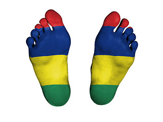Image showing Feet with flag