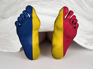 Image showing Feet with flag