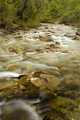 Image showing river