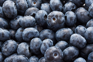 Image showing Blueberries