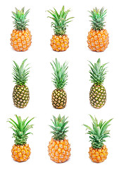 Image showing Pineapple