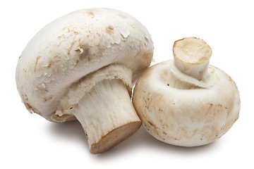 Image showing Champignon mushrooms