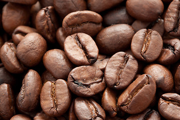 Image showing Coffee beans