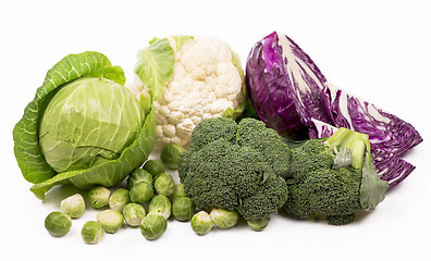 Image showing Various types of cabbage