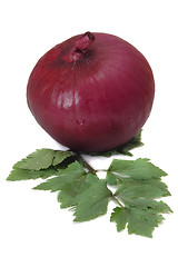 Image showing Red onion and celery