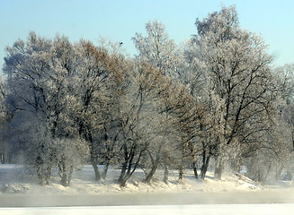 Image showing Winter landscape