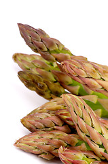 Image showing Asparagus Sprouts