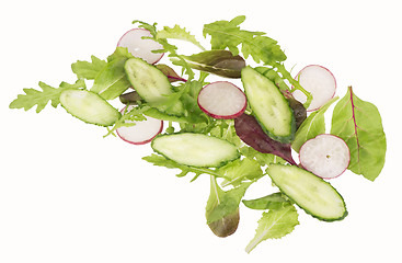 Image showing cut cucumbers, garden radish and lettuce leaves