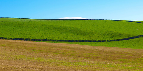 Image showing Cardross hill panorama