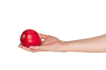 Image showing Hand with apple