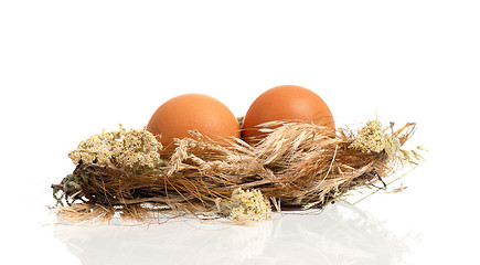 Image showing Eggs in nest